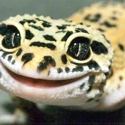 Michigan City Zoological Society & Washington Park Zoo