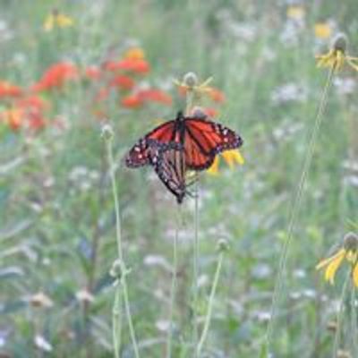 Crawford County Master Gardeners