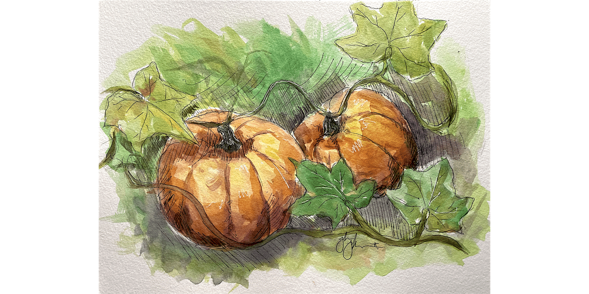 Plump Watercolor Pumpkins - Paint and Sip in Orlando | Classpop!\u2122