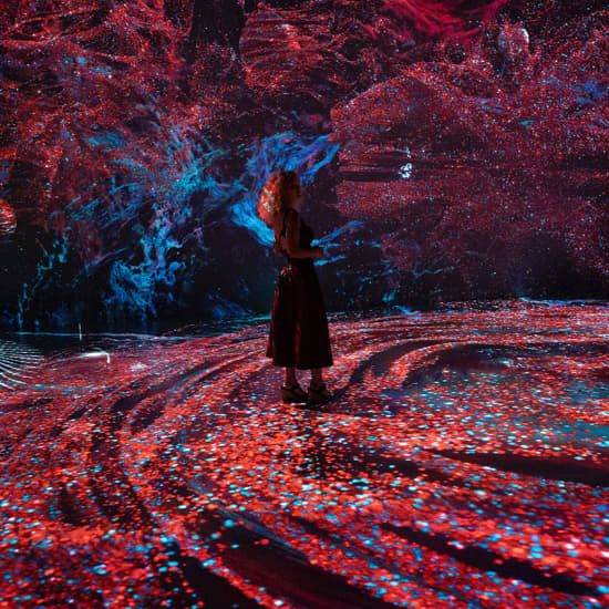 ArtXSpace: Nikola Tesla Immersive Experience