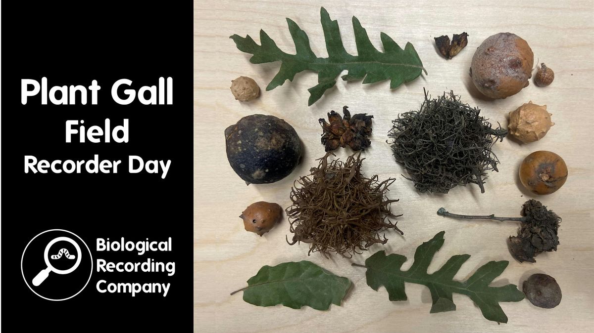 Plant Gall Field Recorder Day