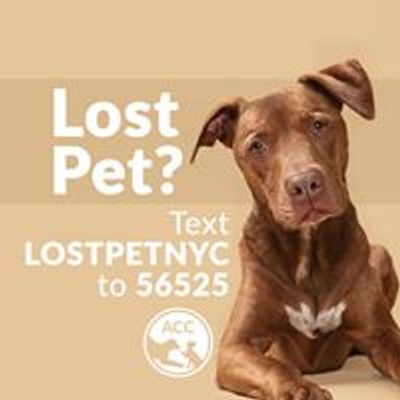 Animal Care Centers of NYC (ACC)