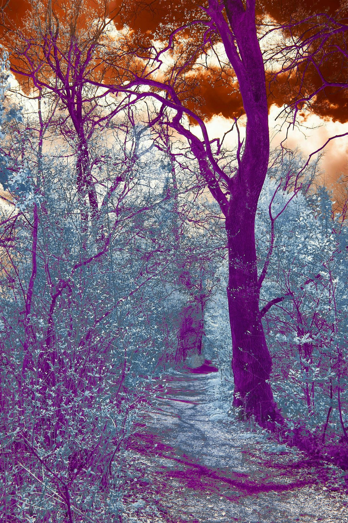 Grounded Grief Walks: An Outdoor Grief Support Group