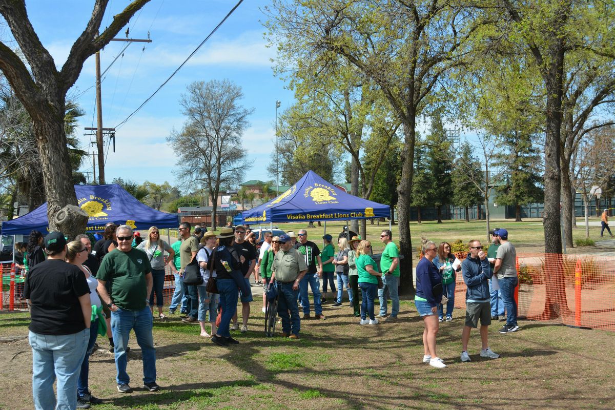 Irish Fest in the Park 2026