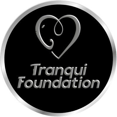 Tranqui Foundation