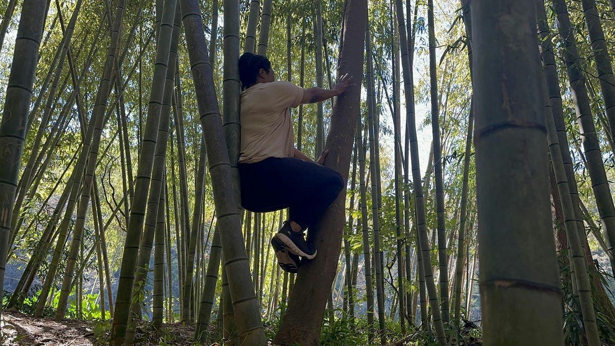 Sacred Reset: Trauma Release & Nervous System Renewal for Women