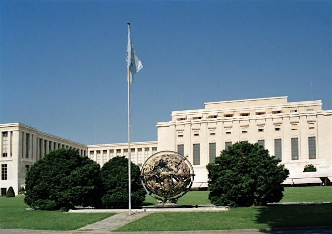 The Role of the ILC and the IDI in the Development of International Law