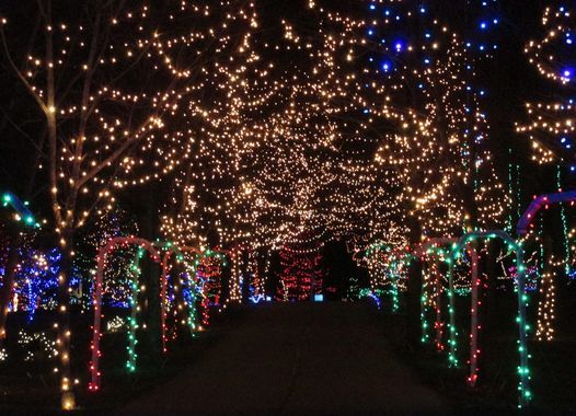 2022 ✪ Christmas In Lights Drive-Thru ✪ | Online | January 10 To January 11