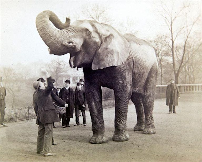 ZSL at 200: SHNH Summer Meeting with the Zoological Society of London