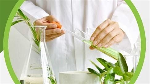 Tincture Craft: East Meets West in Herbal Extraction