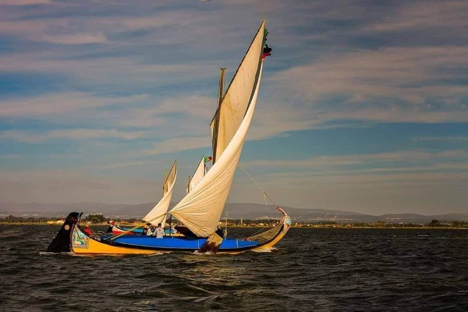 Regata De Moliceiros Torreira - Aveiro