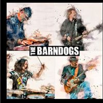 The Barndogs