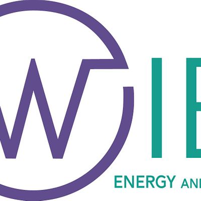 New England Women in Energy and the Environment (NEWIEE)