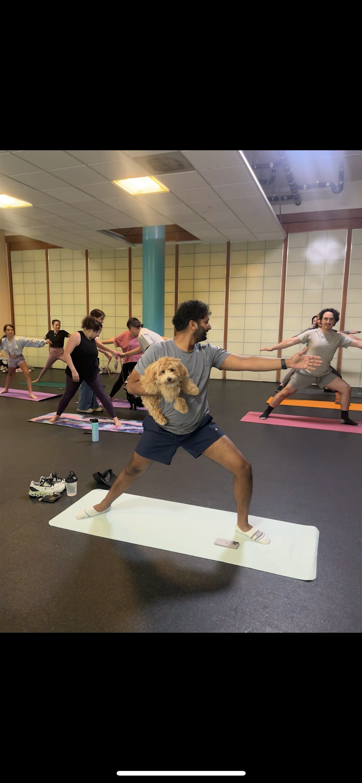 Primepaw x Flow & Flourish: Holiday Puppy Yoga!