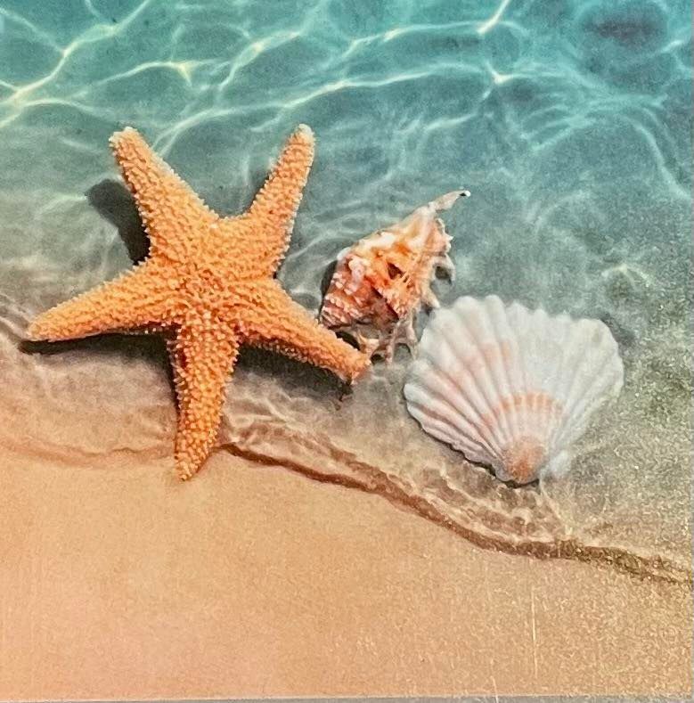 Autumn Falls Entertainment at The Infamous Sports Zoo Lansford