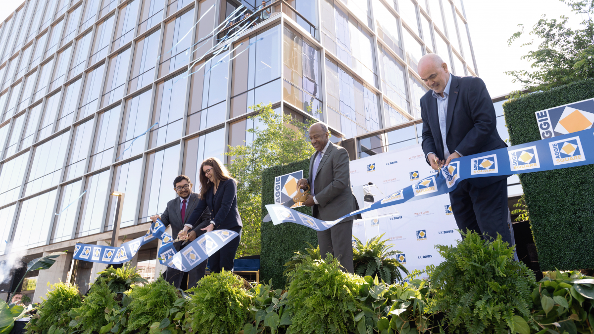 Parking Eric Comstock