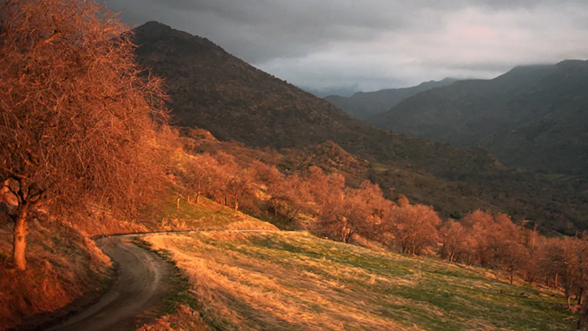 Gill Landry, Blair Borax, Old Crow Medicine Show in Seattle