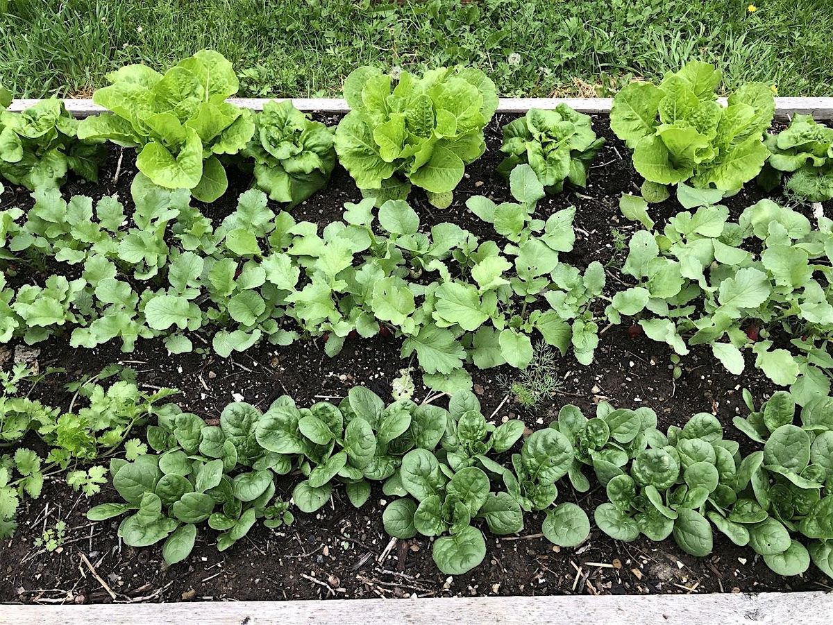 Creating Your First Crop Plan