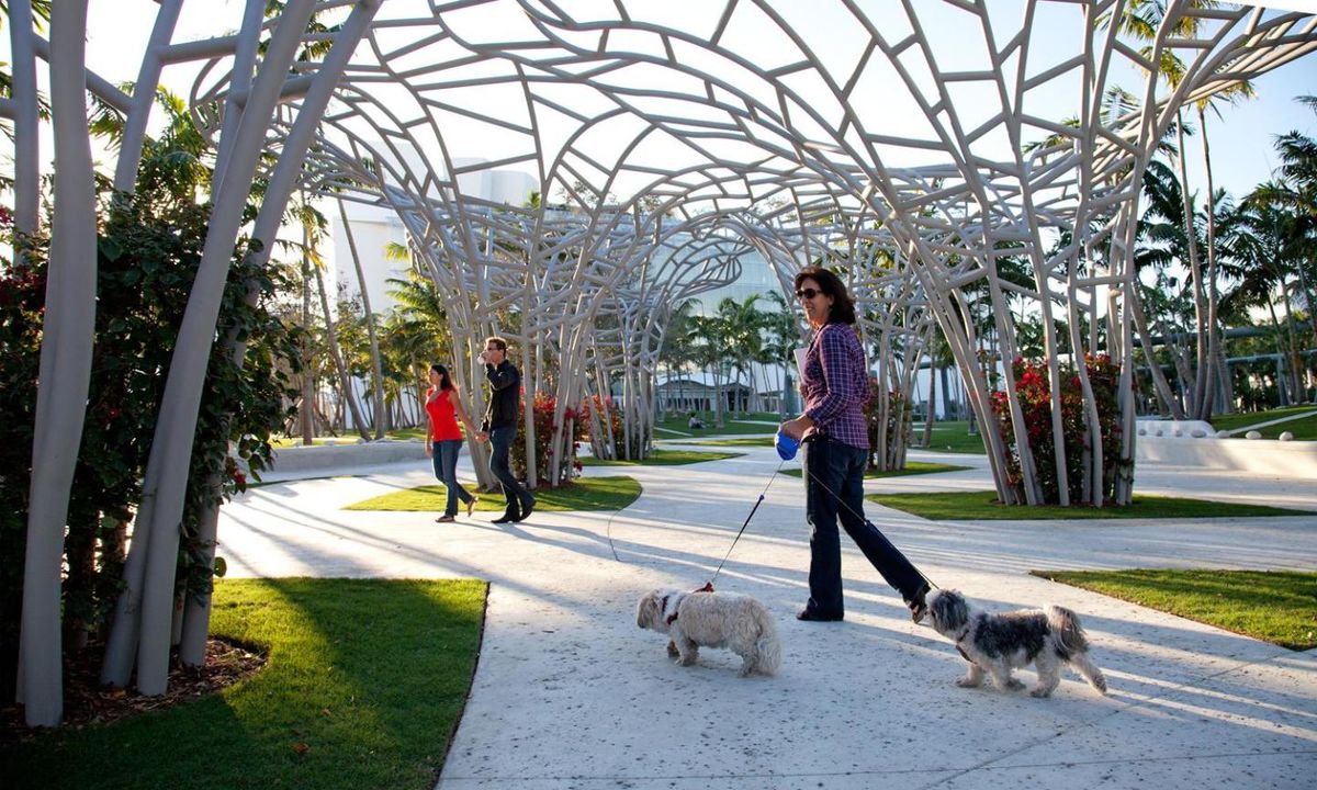 New World Symphony: American Dance Odyssey