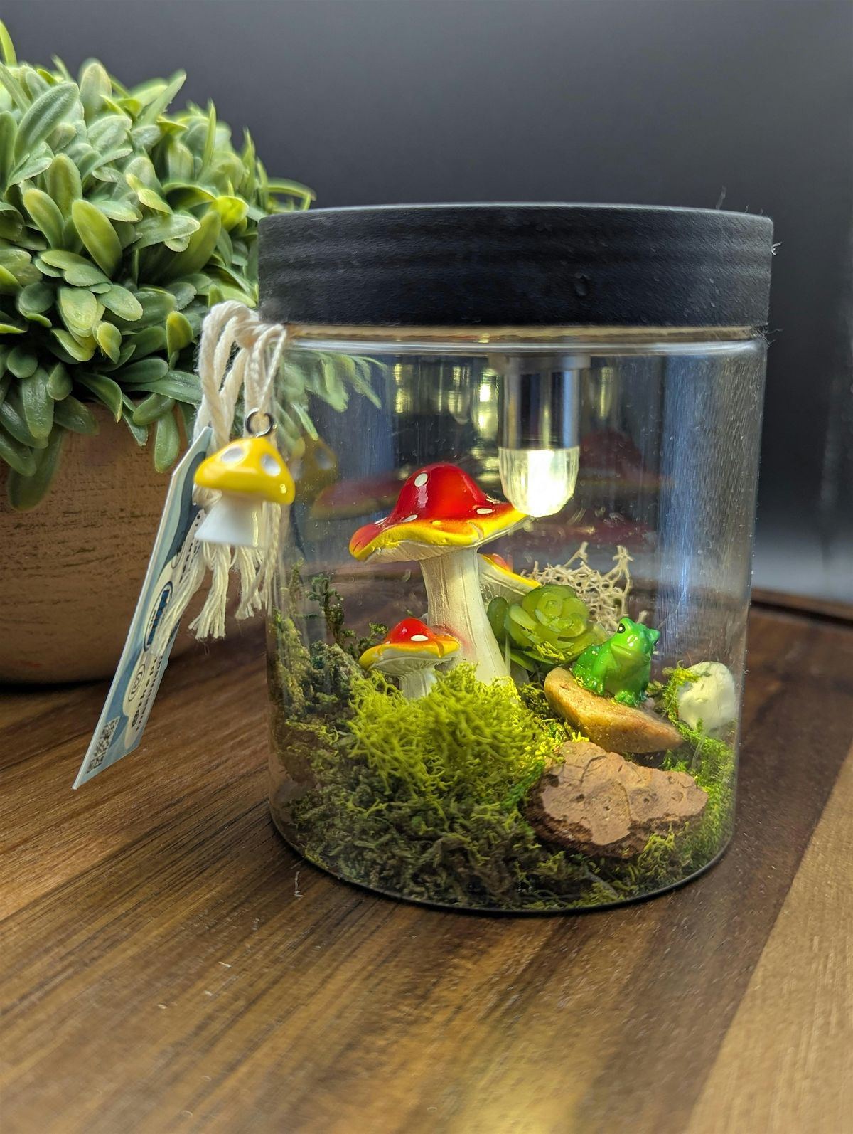 Magical Mushroom and Moss Jars