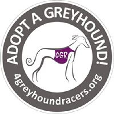4 Greyhound Racers