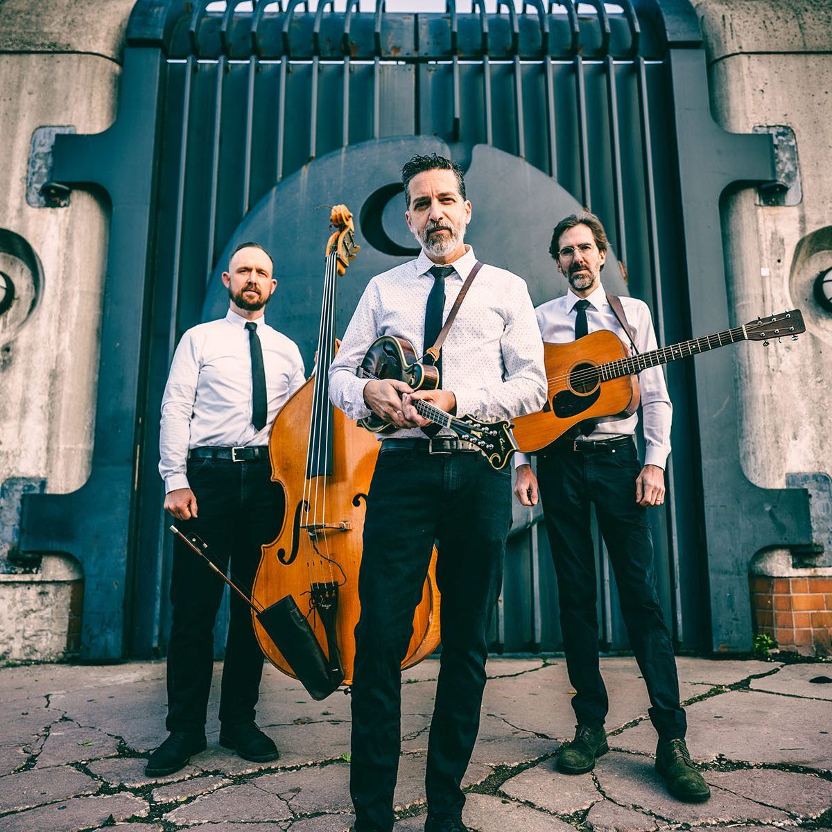 Andrew Collins Trio