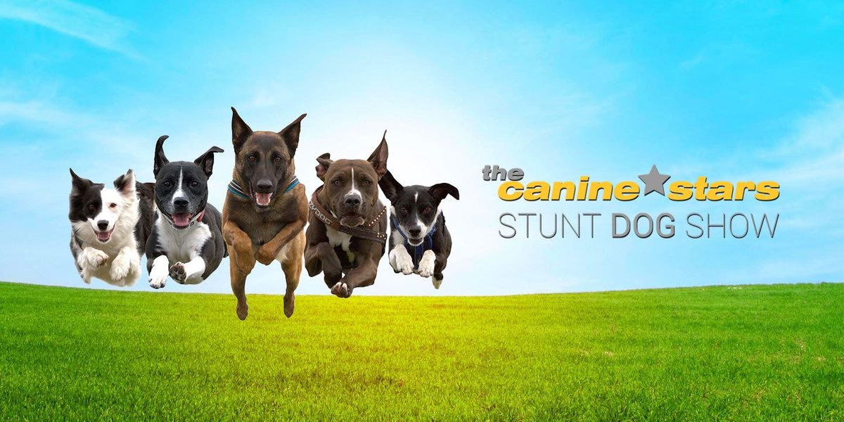 The Canine Stars Stunt Dog Show