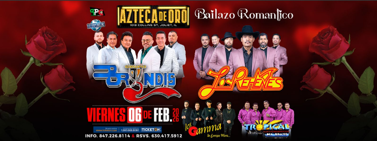 GRUPO BRYNDIS, LOS REHENES & MAS