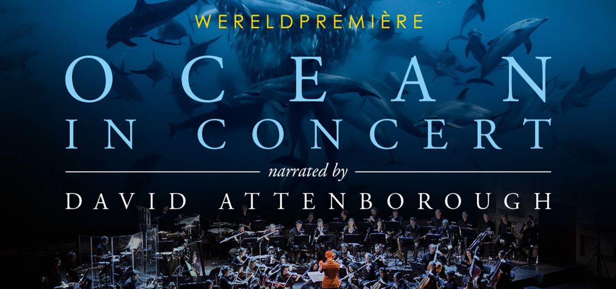 Naples Philharmonic: Mario Venzago - Korngold's Hollywood Concert