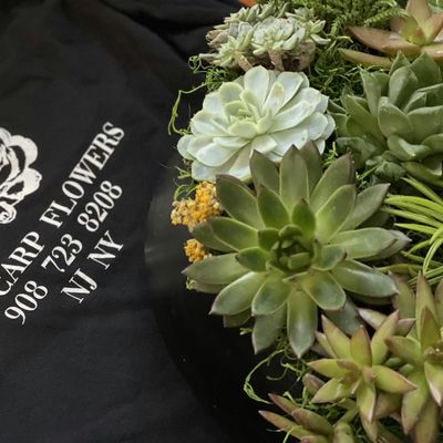 Polycarp Flowers