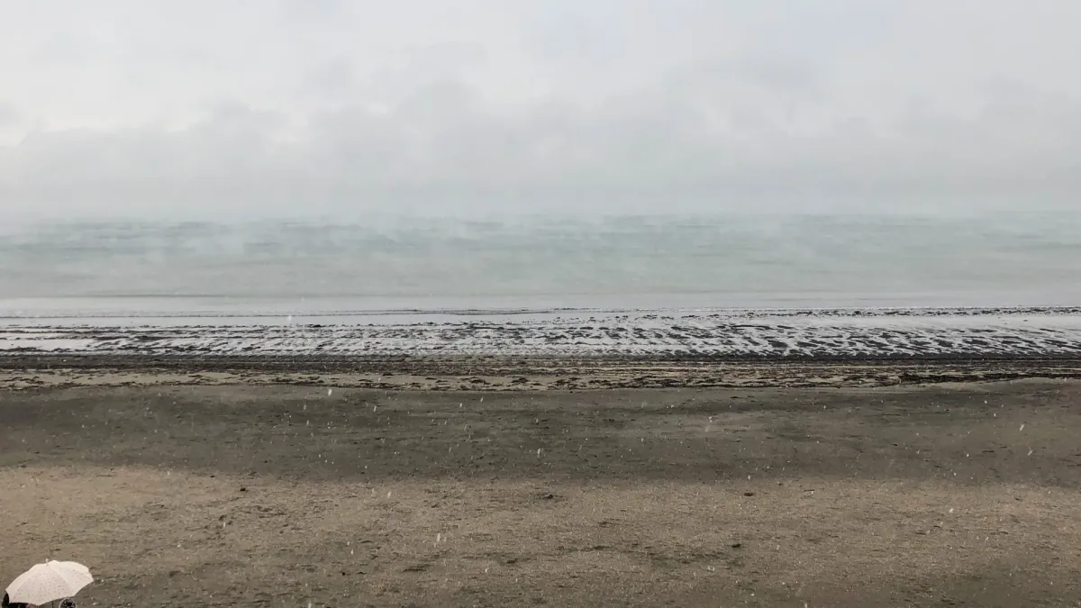 Casey Driessen in Brevard