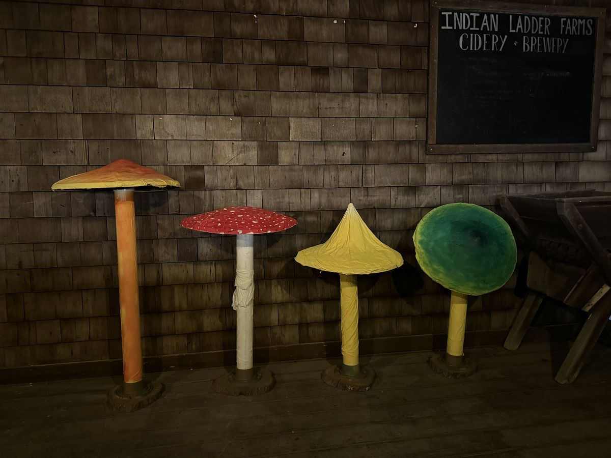 A Mushroom Experience Dinner at Indian Ladder Farms