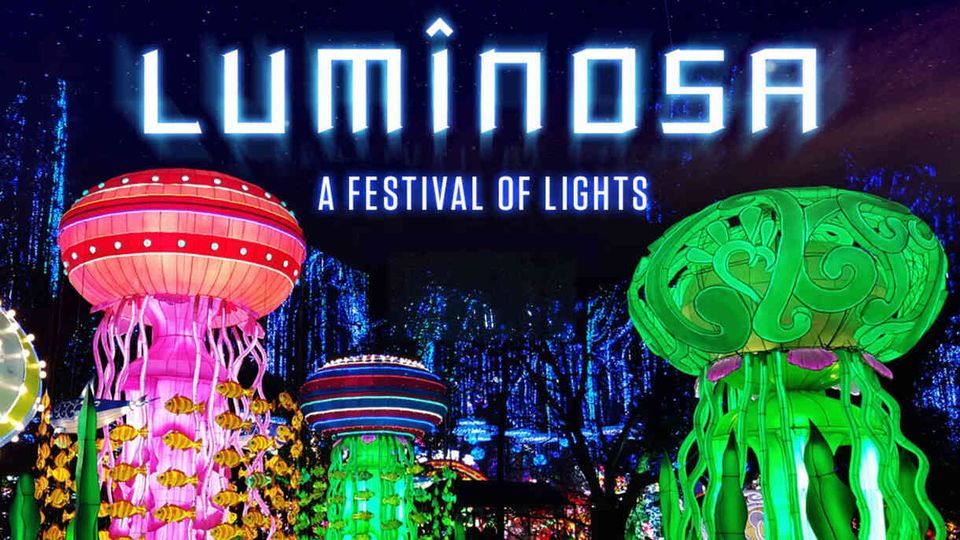 luminosa-a-festival-of-light-miami-florida-march-13-to-march-21