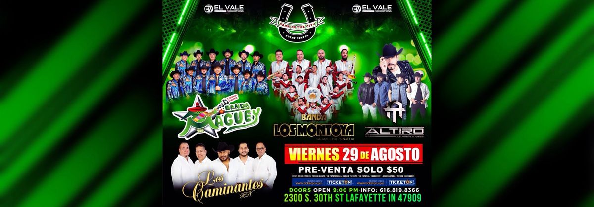 MAGUEY & LOS MONTOYA