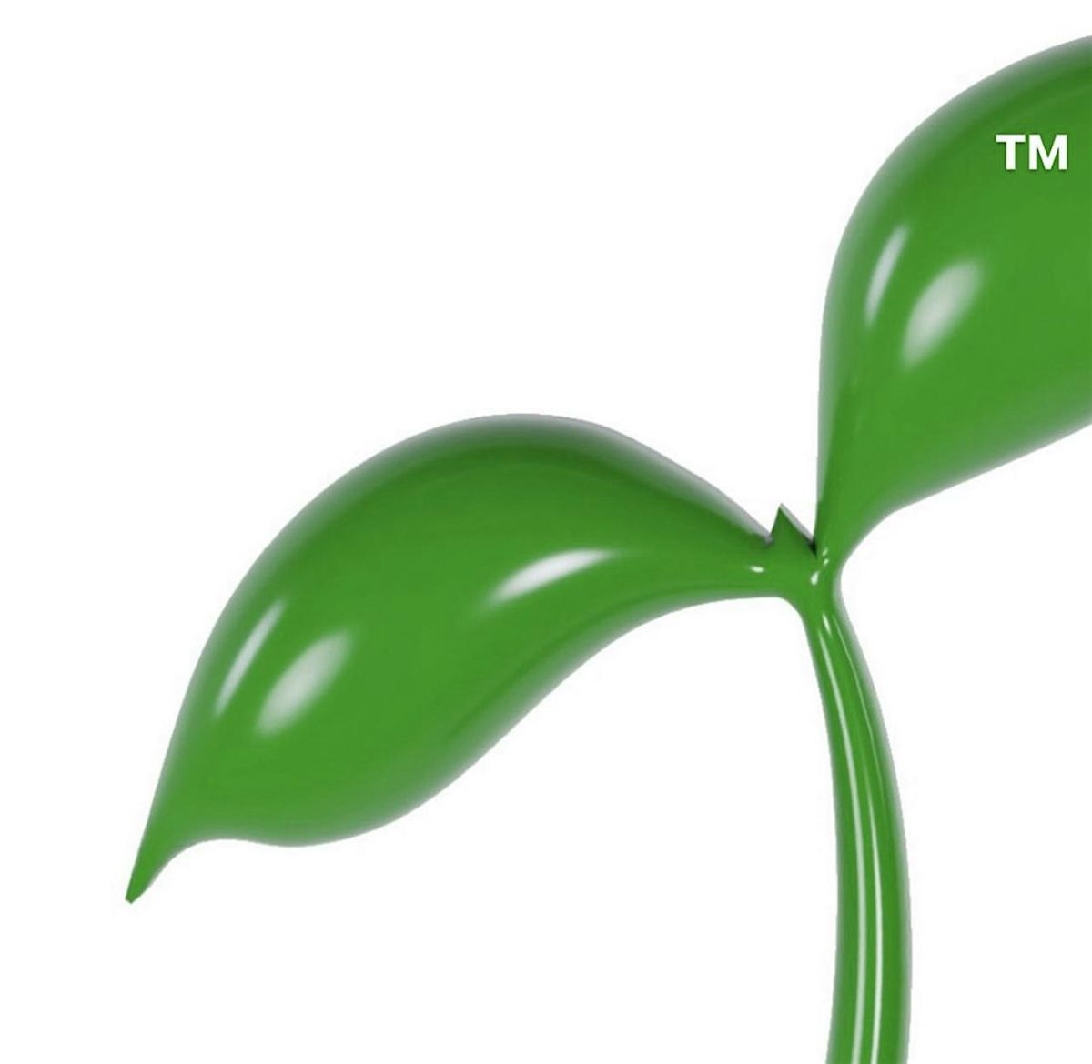 VERDE and Friends Giving