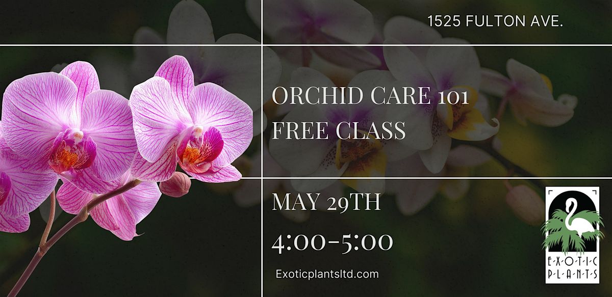 Orchid Care 101 (Free Class)