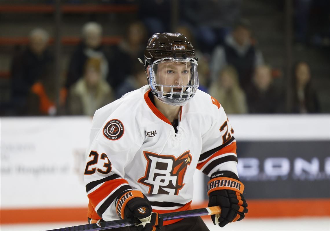 Bemidji State Beavers at Bowling Green Falcons Hockey at Slater Family Ice Arena
