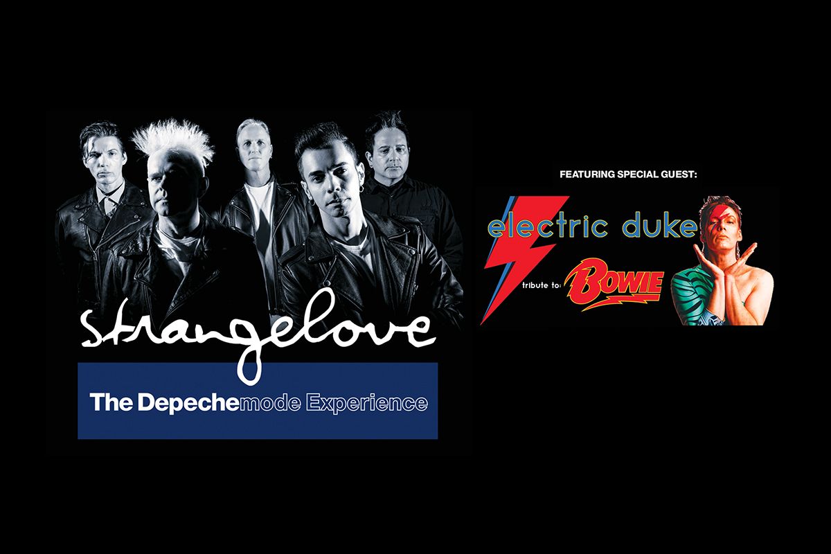 Parking Strangelove: The Depeche Mode Experience