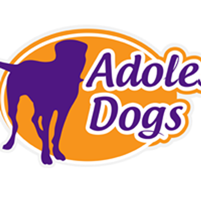 Adolescent Dogs -  Award Winning Dog Training
