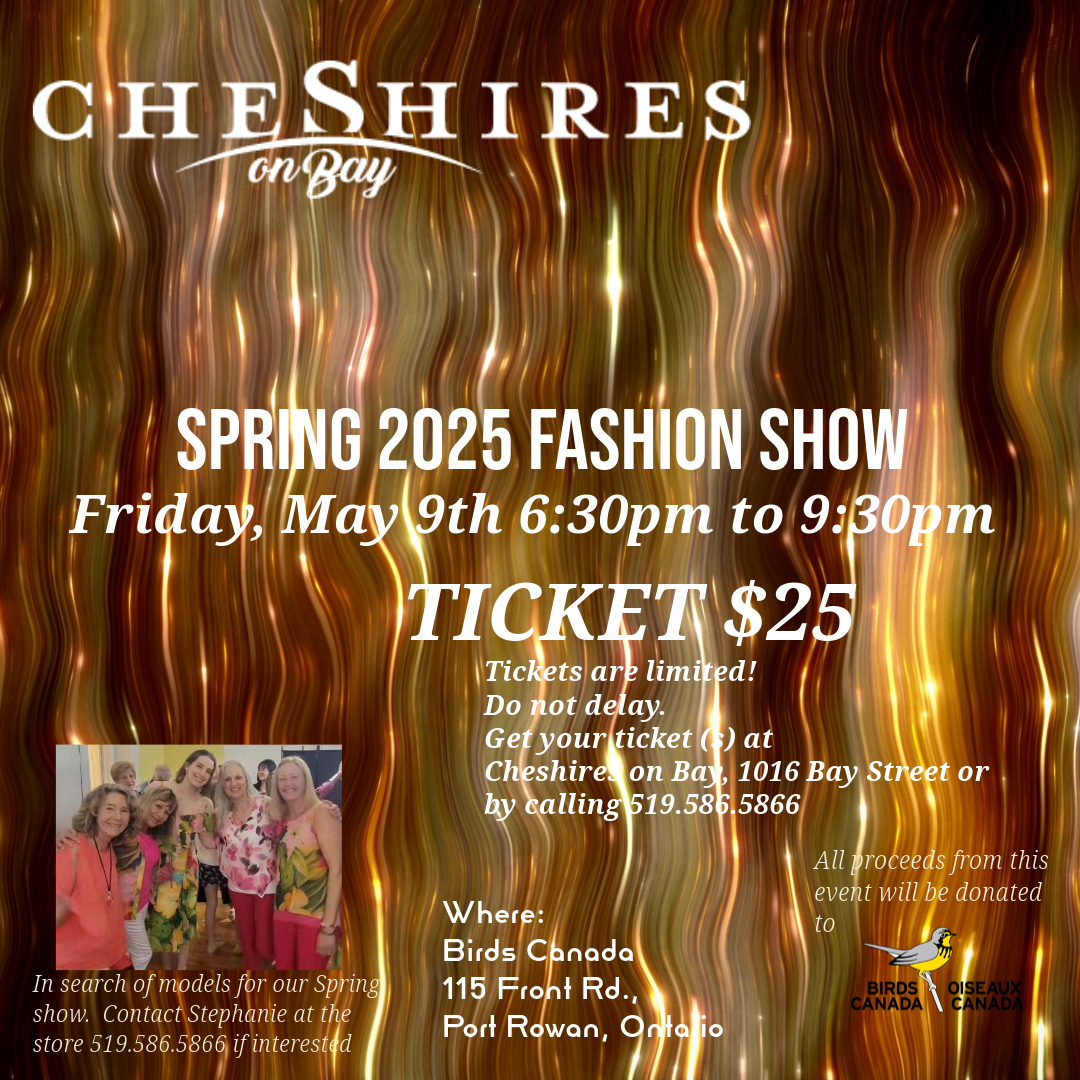 Bay Birds at Music Box San Diego