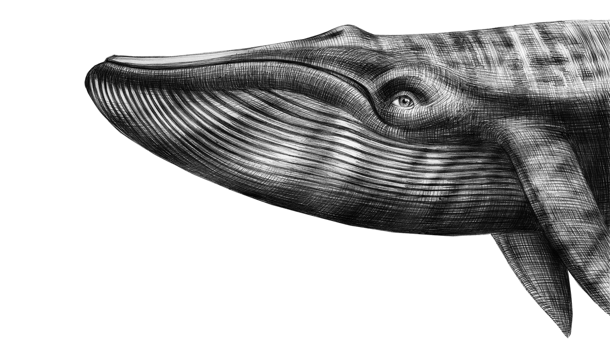 Parking Bane with Rotting Out, Eyes of Salt, and Warmachine (16+)