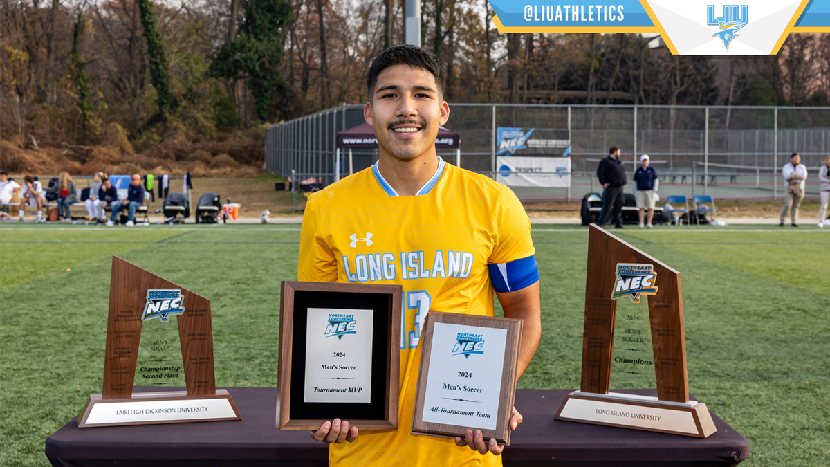 Parking Mercyhurst Lakers at LIU Sharks Mens Basketball