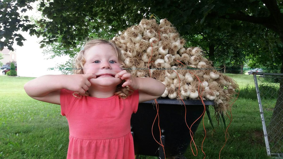 The Great Gathering of Garlic at Garcia's Gardens