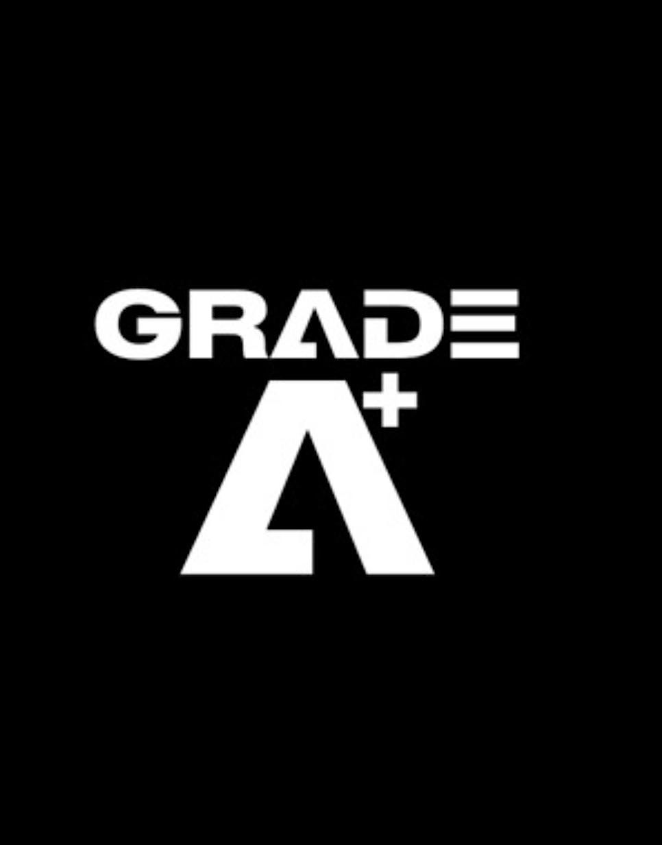 GRADE A DECEMBER VIBES