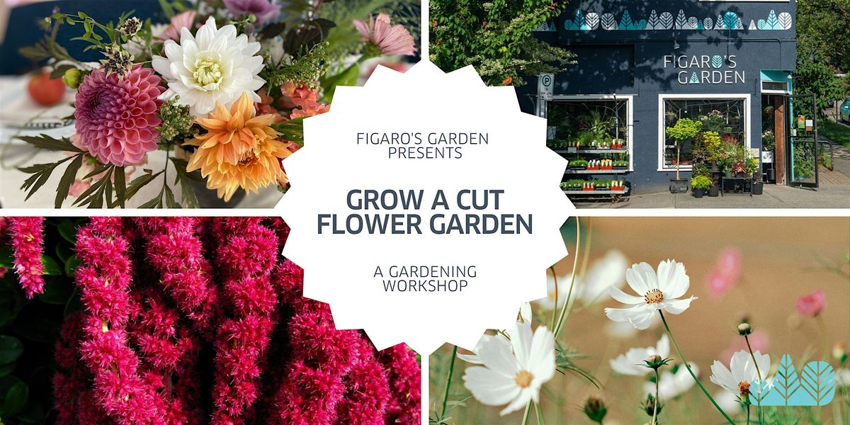 Grow a Cut Flower Garden