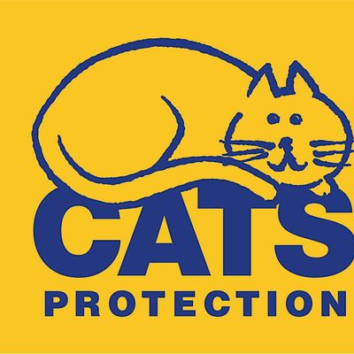 Cats Protection Cheltenham & Tewkesbury Branch