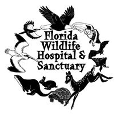 Florida Wildlife Hospital & Sanctuary