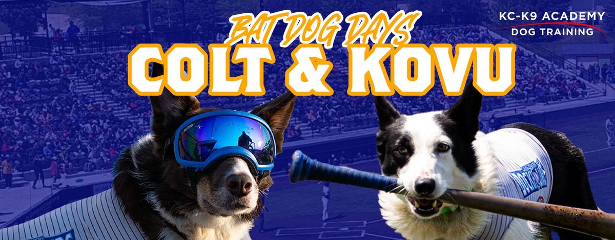 Lake Country DockHounds at Lincoln Saltdogs