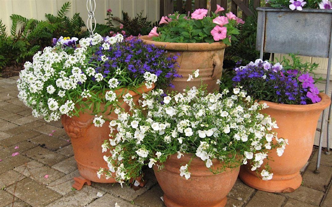 12-9-2025 Holiday Themed Container Gardening