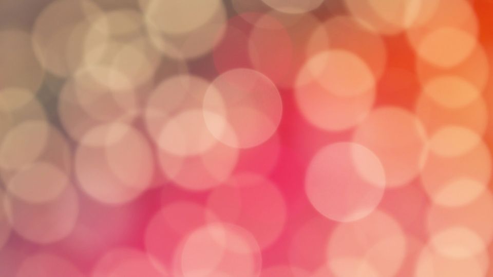 Telegraph Room - Cannons (NOT A CONCERT TICKET)